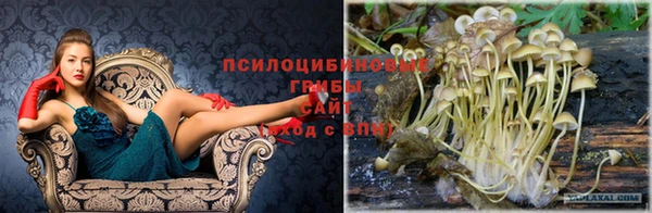 каннабис Володарск
