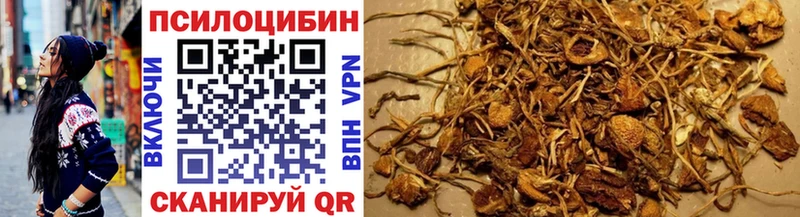 Псилоцибиновые грибы Cubensis  Ноябрьск 